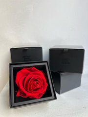 Rosa eterna en caja y dedicatoria