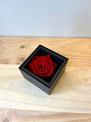 Rosa eterna en caja y dedicatoria