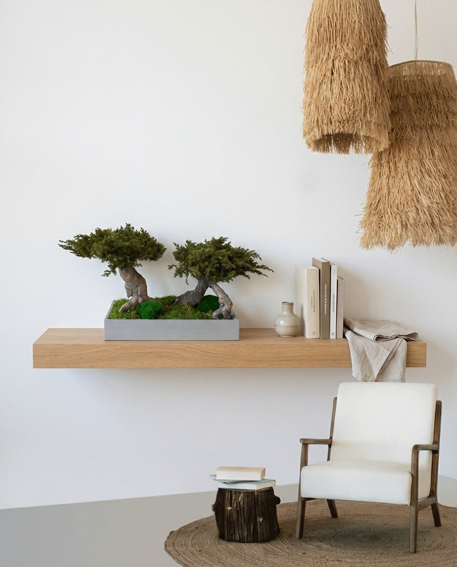 Bonsai preservado - Juniperus Doble