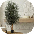 Arbres